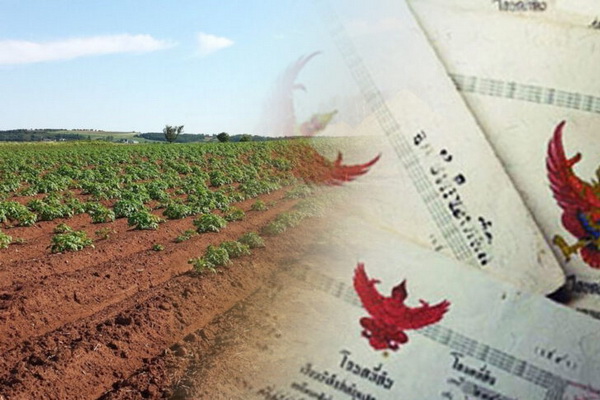 5 �Ը��������ҧ������ʹ ��ѧ��ѧ�����շ��Թ�����觻�١���ҧ 100%