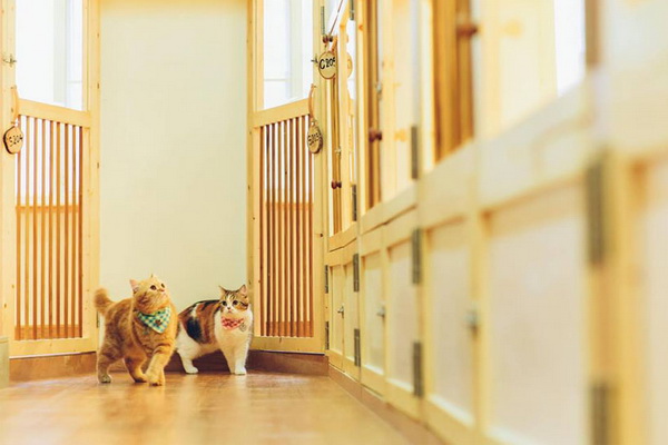 12 ��鹵͹�������ҹ��͹��ش����ѹʧ��ҹ��