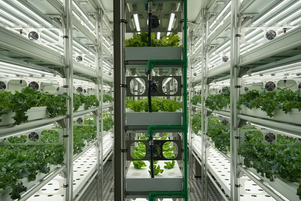 ѡ FlexiFarm Ẻ  ѺŸáԨ͹෹ ѵû١ѡʴ дǡ ʹ