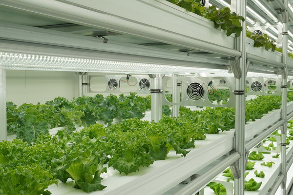 ѡ FlexiFarm Ẻ  ѺŸáԨ͹෹ ѵû١ѡʴ дǡ ʹ