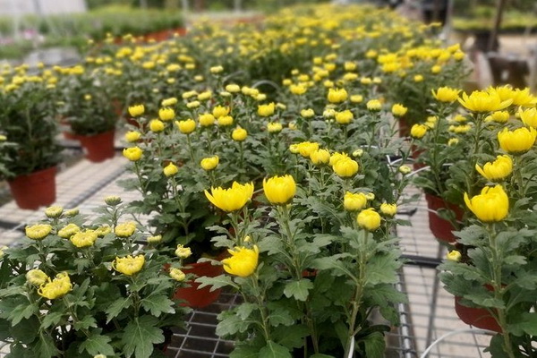 10 ������١㹺�ҹ ����Ŵ�������´