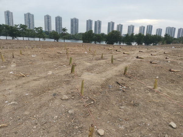 ���ᾤ ���չ�� ����¹���Թ���� 50 ��� ���ǹ����� ������鹷��������