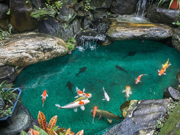 �Ը�������Ţ����ҹẺ������Ũ�ԧ