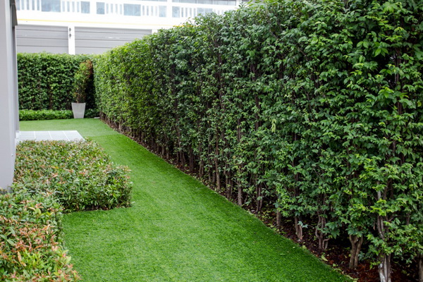 5 �ѡɳ��ǧ���º�ҹ�����������