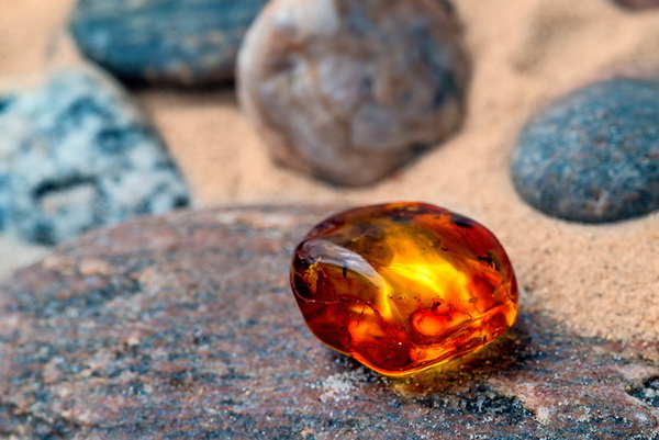 �Թ��⪤ 12 ���� �ͧ�觺�ҹ���� �����⪤���