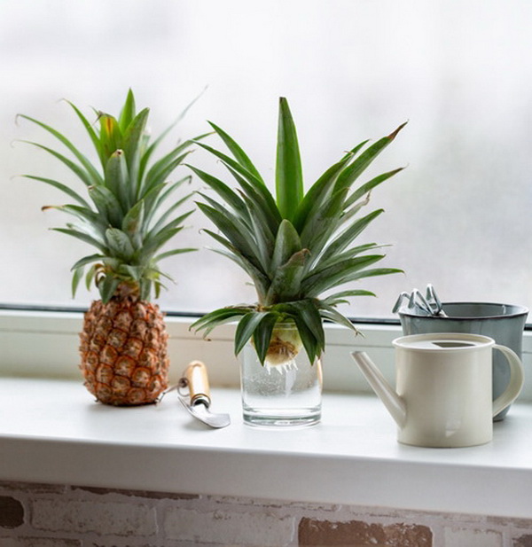 7 �����Թ���ǹӡ�Ѻ�һ�١�����