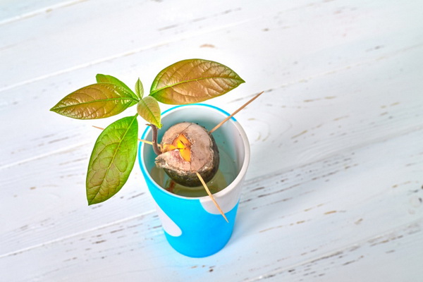 7 �����Թ���ǹӡ�Ѻ�һ�١�����