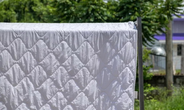 �Ըշ������������ʴ��� ��������ѡ�������ѹ