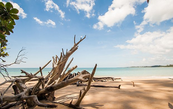 ������ѹ� ���Ũ֧�繤ӵͺ ��� 10 �ط�ҹ��觪ҵԷҧ���ŷ���� ��¹ �������� ��ش��ǹ�� ������Ҵ