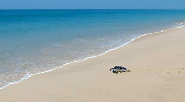 ������ѹ� ���Ũ֧�繤ӵͺ ��� 10 �ط�ҹ��觪ҵԷҧ���ŷ���� ��¹ �������� ��ش��ǹ�� ������Ҵ