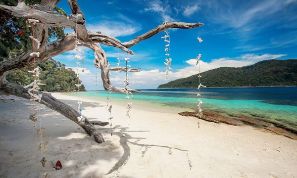 ���������