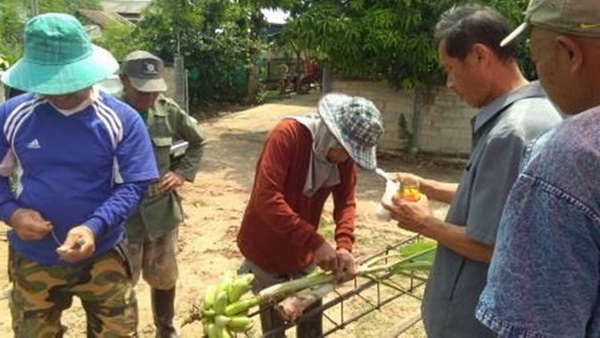 ��������ҧ��ҹ�������