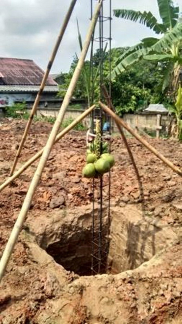 ��������ҧ��ҹ�������