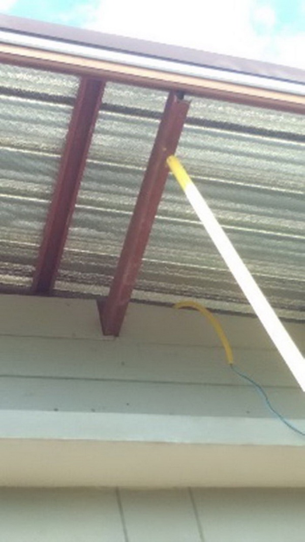 ��������ҧ��ҹ�������