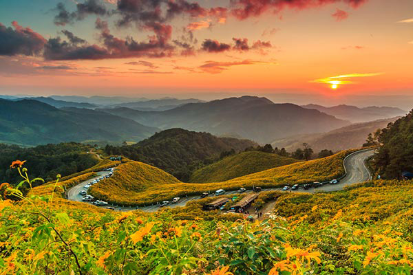 ทุ่งดอกบัวตอง ดอยแม่อูคอ จังหวัดแม่ฮ่องสอน