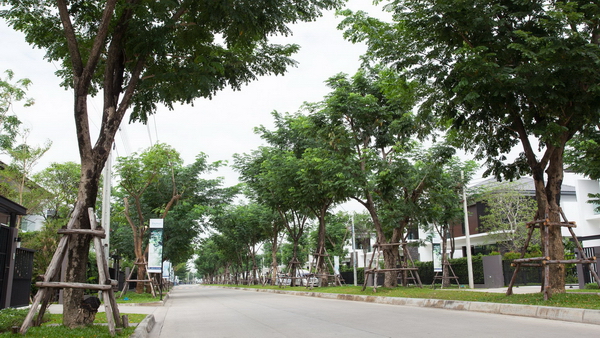  �ѳ��� ��չ��Թ���-�������