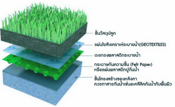  Green Roof 