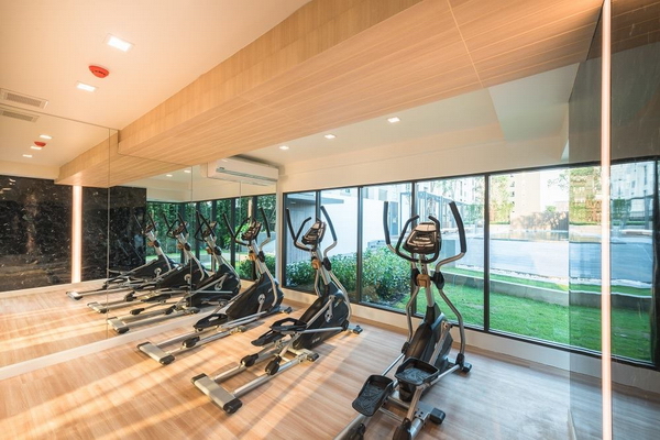 plumcondo ⪤��� 4