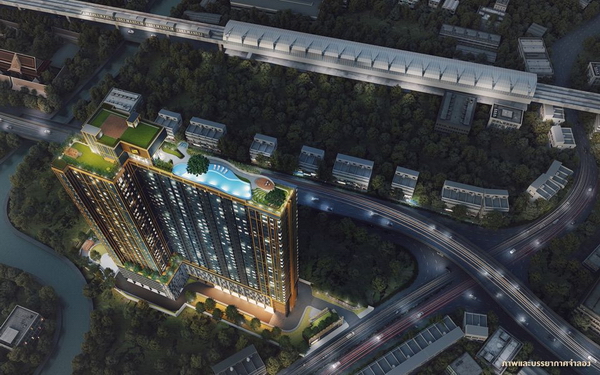 The Tree �آ���Է 71 - �͡���