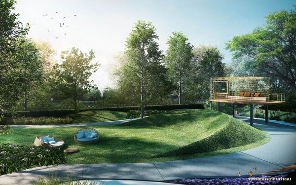 The Tree �آ���Է 71 - �͡���