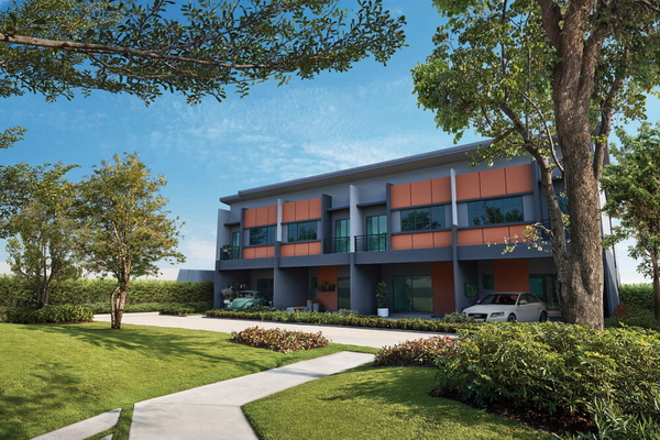 ���� ��� 