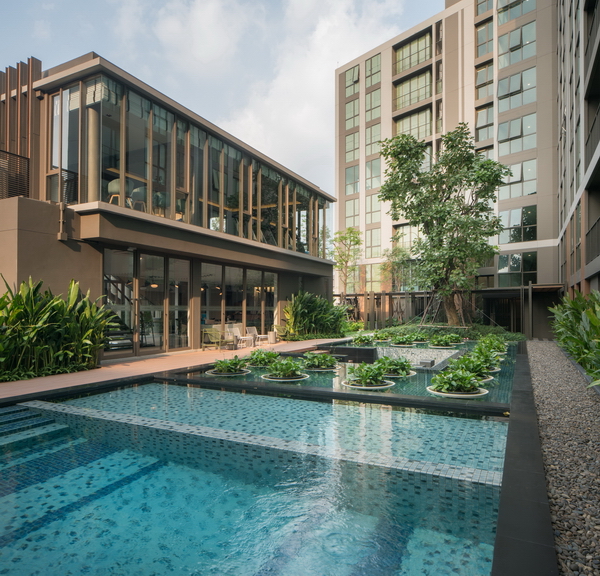 �ç��� ������� �� �Ѫ��-����Թ��� 