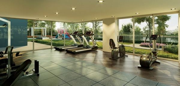 ��ФԷ�� ���� ����¸Թ-�٤�