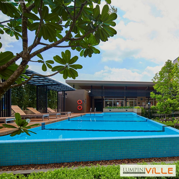 �͹� ����Թ������ �Ҫ�ġ�� - �ҧ�ǡ