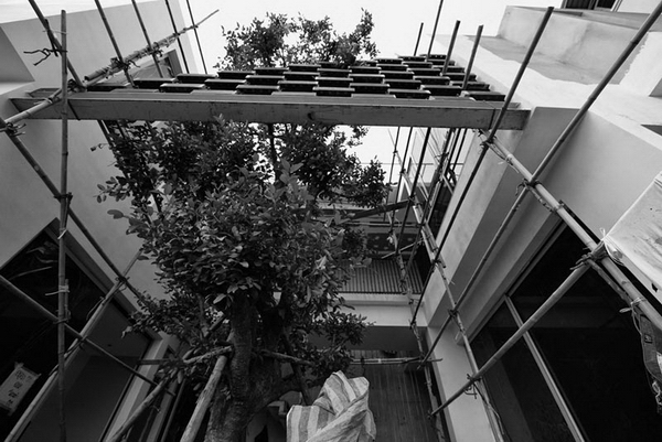 ��ҹ�ͧ�������������