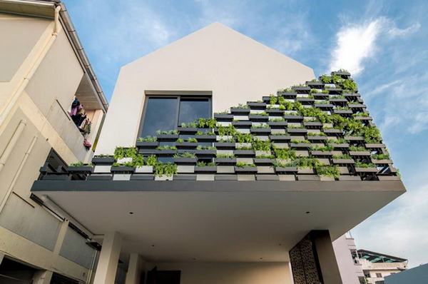 ��ҹ�ͧ�������������