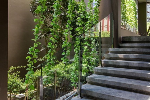 3. ซุ้มระแนงไม้เลื้อย