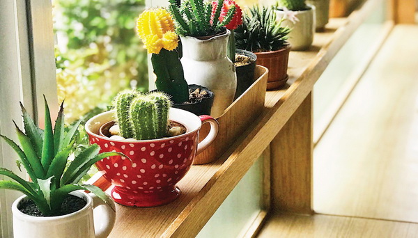 1. ปลูกต้นไม้