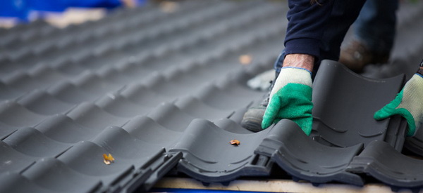 1. หลังคา