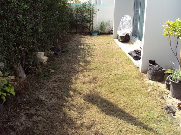 3. ต้นไม้ หรือสนามหญ้า