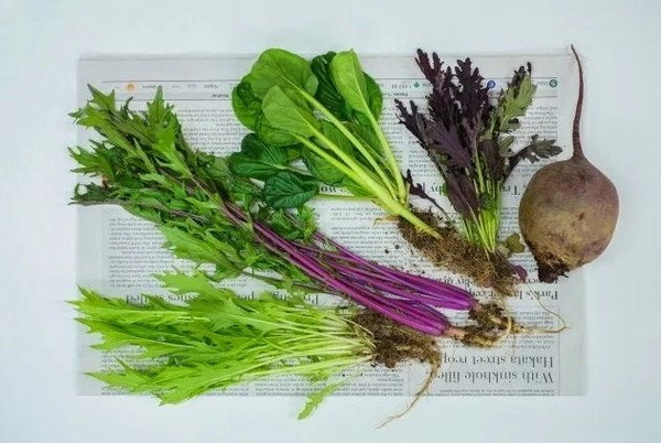 5. ใช้เก็บถนอมผักให้เก็บไว้ได้นาน