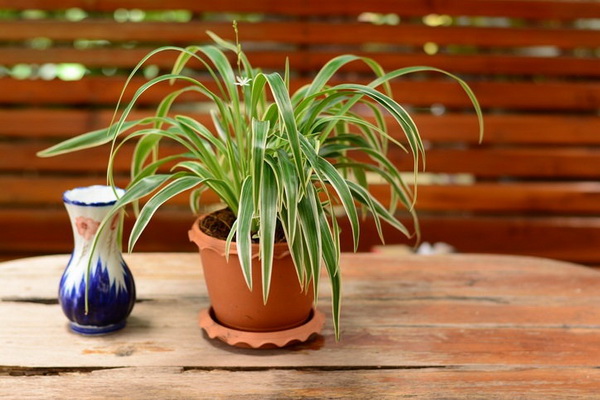 3. เศรษฐีเรือนใน