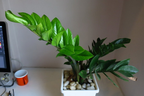 1. ปัญหา : ห้องมืดทึบที่ไม่มีหน้าต่าง