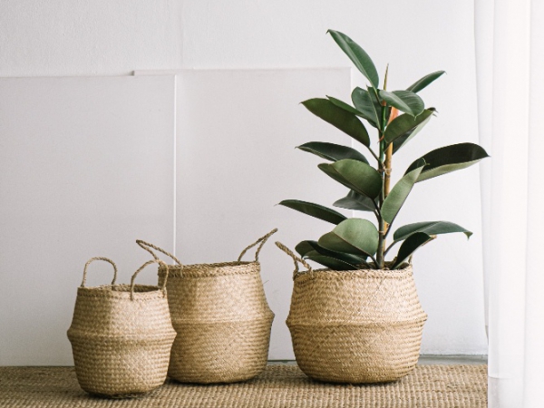 4. ปัญหา : ห้องที่มีอากาศแห้งและร้อนเหมือนทะเลทราย