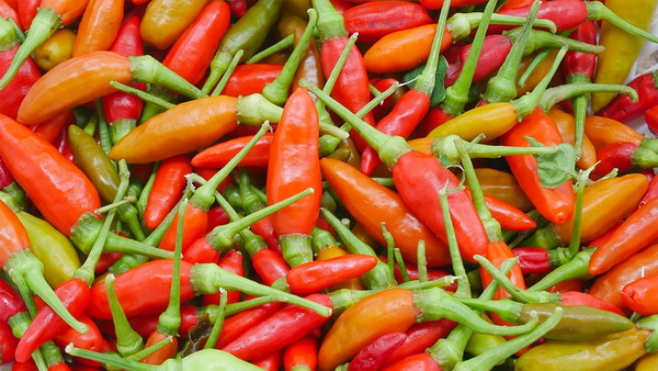 ��ԡᾧ!! ��ԡ���˹٢���Ҥ� ����� 1 �ҷ ���� ��ͤ��-����Ң���Ҥ������ 5-10 �ҷ