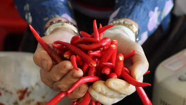 ��ԡᾧ!! ��ԡ���˹٢���Ҥ� ����� 1 �ҷ ���� ��ͤ��-����Ң���Ҥ������ 5-10 �ҷ