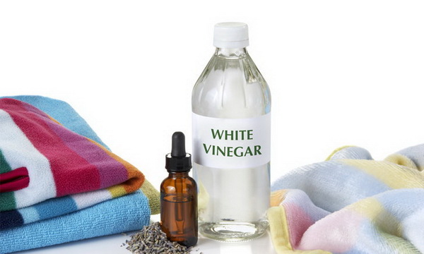 7 �Ըէ���� ��Ѵ��������� ���ͧ�������������Ѵ