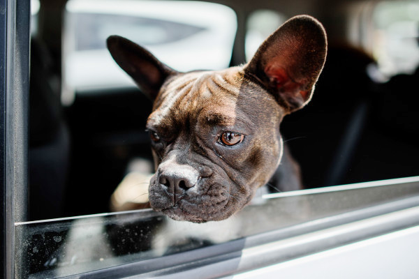 10 �شʡ�á�ͧ��ҹ���ѵ������§ �պ����зӤ������Ҵ�´�ǹ