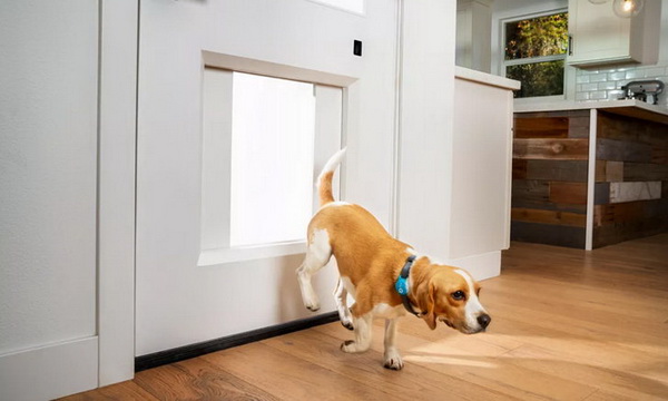 10 �شʡ�á�ͧ��ҹ���ѵ������§ �պ����зӤ������Ҵ�´�ǹ