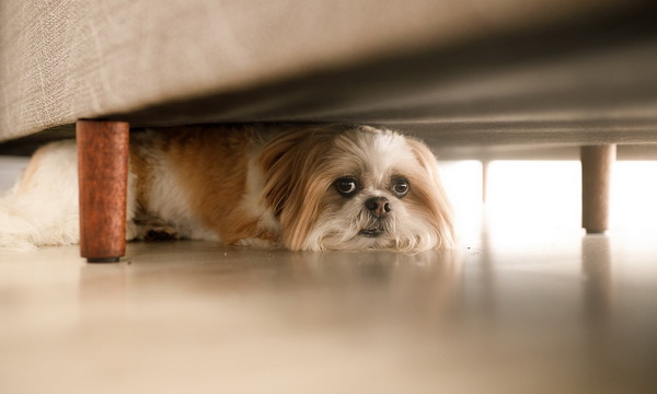 10 �شʡ�á�ͧ��ҹ���ѵ������§ �պ����зӤ������Ҵ�´�ǹ