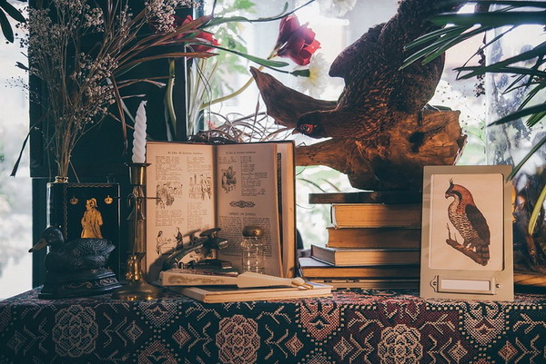 ������觺�ҹ���Ẻ��Ѻ�ѡ���������������ʹ���ǹ�ͧ