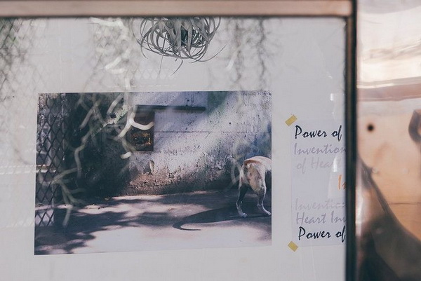 ������觺�ҹ���Ẻ��Ѻ�ѡ���������������ʹ���ǹ�ͧ