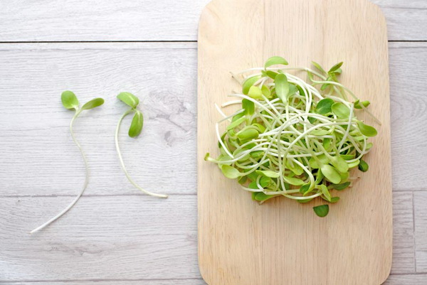 5. ปลูกผักสวนครัวอายุสั้น 9 วิธีปลูกผักสวนครัวง่าย ๆ ปลูกกินเองที่บ้านก็ดี ปลูกขายก็ได้