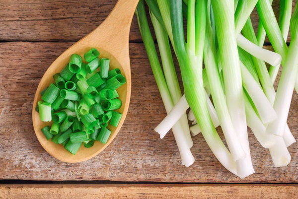 9. ปลูกผักในบ้าน 9 วิธีปลูกผักสวนครัวง่าย ๆ ปลูกกินเองที่บ้านก็ดี ปลูกขายก็ได้