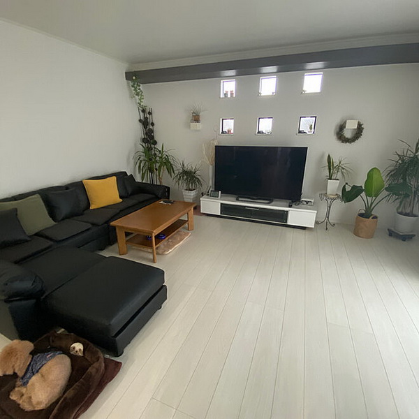 ����µ���˹�ҵ�ҧ�ҹ��� ����ҹ����͹��ش�Ҩҡ˹ѧ��͹Էҹ