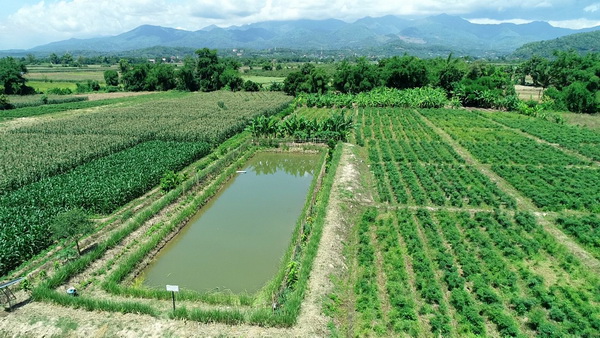 1) เกษตรกรรม เปิดไทม์ไลน์ ภาษีที่ดิน ปี 2564 ถือครองที่ดินแบบไหน จ่ายเท่าไร เป็นอย่างไรบ้าง?